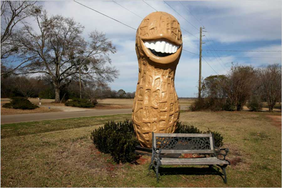 Plains Peanit Festival  near Providence Canyon State Park